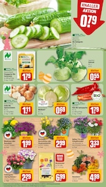 Blumenerde im REWE Prospekt in Recklinghausen Aktueller REWE Prospekt mit Blumenerde, "Dein Markt", Seite 5