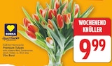 Herzstücke Premium-Tulpen von EDEKA im aktuellen E center Prospekt