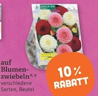 Blumen-Zwiebeln bei tegut im Angebot Blumen-Zwiebeln im aktuellen tegut Prospekt