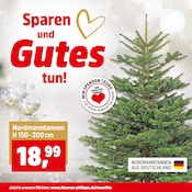 Bäume Angebote im Prospekt "Top Angebote" von Thomas Philipps auf Seite 2