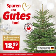 Pflanzen im Thomas Philipps Prospekt "Top Angebote" mit 26 Seiten (Cottbus)