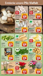 Schnittblumen Angebot & Preis im aktuellen REWE Prospekt Schnittblumen Angebot im aktuellen REWE Prospekt auf Seite 7