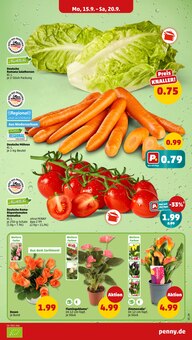 Tomaten im Penny Prospekt "Wer günstig will, muss Penny." mit 41 Seiten (Göttingen)