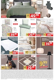 Tischleuchte Angebot im aktuellen Zurbrüggen Prospekt auf Seite 3