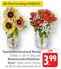 EDEKA Lörrach - Sonnenblumenstrauß Marley Angebot im Prospekt Sonnenblumenstrauß Marley bei EDEKA im Lörrach Prospekt für 3,99 €