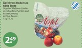 Tierbedarf im V-Markt Prospekt Äpfel von Obsthof Meßmer Lindau im aktuellen V-Markt Prospekt für 2,49 €