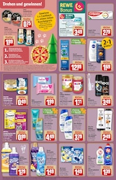 Hundefutter Angebot im aktuellen REWE Prospekt auf Seite 26