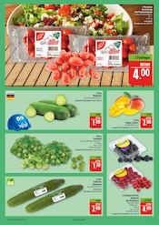 Aktueller Marktkauf Prospekt mit Pflanzen, "AUSWAHL RIESIG, PREISE NIEDRIG", Seite 7