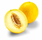 Melone im Netto Marken-Discount Prospekt Honigmelone im aktuellen Netto Marken-Discount Prospekt für 1,25 €