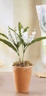 Muguet 2 griffes - U - U Express à Brest Muguet 2 griffes - U en promo chez U Express Brest à 3,91 €