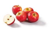 Promo Pomme bicolore à 3,49 € dans le catalogue Lidl à Le Blanc
