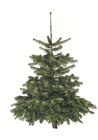 Aktuelle Weihnachtsbaum Angebote bei Lidl in Freising Aktuelles Nordmanntanne Angebot bei Lidl in Freising ab 16,99 €