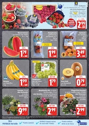 Ähnliche Buchsbaum Angebote im Prospekt "Top Angebote" von EDEKA in Rostock Ähnliche Angebote wie Buchsbaum im Prospekt "Top Angebote" auf Seite 5 von EDEKA in Rostock