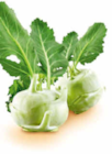 Kohlrabi Angebote bei Netto Marken-Discount Koblenz für 1,00 €