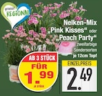 Aktuelle Farbe Angebote bei EDEKA in Ingolstadt Aktuelles Nelken-Mix "Pink Kisses" oder "Peach Party" Angebot bei EDEKA in Ingolstadt ab 1,99 €