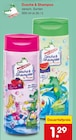 Dusche & Shampoo im Angebot bei Netto Marken-Discount in Germering Dusche & Shampoo Angebote bei Netto Marken-Discount Germering für 1,29 €