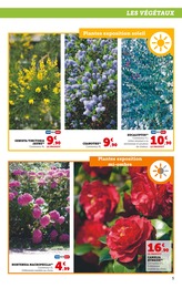 Offre Hortensia dans le catalogue Hyper U du moment à la page 5