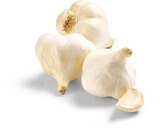 Bio Knoblauch im Angebot bei Netto Marken-Discount in Karlsruhe Bio Knoblauch Angebote von BioBio bei Netto Marken-Discount Karlsruhe für 1,29 €