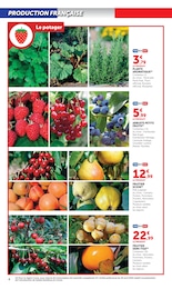 Offre Groseille dans le catalogue Super U du moment à la page 4
