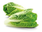 Aktuelles Bio Romana Salatherzen Angebot bei REWE in Köln ab 1,49 €