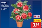 Kamelie Angebote bei Netto Marken-Discount Mainz für 7,99 €