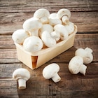 CHAMPIGNON BLANC dans le catalogue Netto
