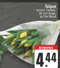 Tulpen im Angebot bei EDEKA in Mettmann Tulpen Angebote bei EDEKA Mettmann für 4,44 €