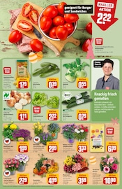 Ähnliche Teichpflanzen Angebote im Prospekt "Dein Markt" von REWE in Braunschweig Ähnliche Angebote wie Teichpflanzen im Prospekt "Dein Markt" auf Seite 9 von REWE in Braunschweig