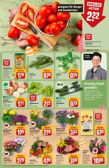 Pflanzen im REWE Prospekt "Dein Markt" mit 38 Seiten (Braunschweig)