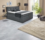 Boxspringbett Cosima für 1.749,00 € bei SB Möbel Boss im Angebot Boxspringbett Cosima im aktuellen SB Möbel Boss Prospekt