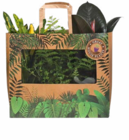 Grünpflanzen-Mix bei Hagebaumarkt im Haar Prospekt für 9,00 €