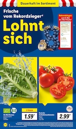 Lidl Salat im Prospekt 