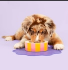 GAMELLE EN CÉRAMIQUE TAILLE S POUR ANIMAUX COOCKOO - COOCKOO dans le catalogue Auchan Hypermarché