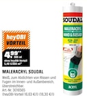 Maleracryl von Soudal im aktuellen OBI Prospekt für 4,99 €