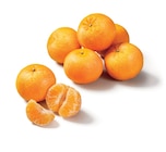 Promo Mandarine à 3,29 € dans le catalogue Lidl à Nogent-sur-Marne