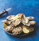 Huitres fines de Bretagne ou Huitres speciales de l'Etang de Thau - U en promo chez Super U Soissons à 8,91 €