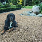 Waschbetonplatte Angebote bei Hagebaumarkt Oberhausen für 3,49 €