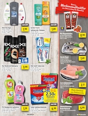 Dusche im EDEKA Prospekt in Gelsenkirchen Aktueller EDEKA Prospekt mit Dusche, "Aktuelle Angebote", Seite 13