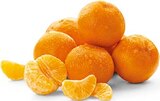 Penny-Markt - Clementinen Angebot im Prospekt Clementinen bei Penny-Markt im Prospekt "" für 0,95 €