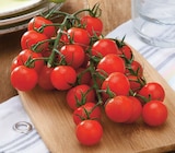 Super U Saint-Germain-la-Blanche-Herbe - Promo Tomate cerise grappe Promo Tomate cerise grappe à 2,75 € dans le catalogue Super U à Saint-Germain-la-Blanche-Herbe