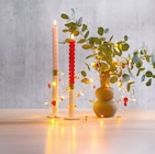 LED-Lichterkette von Nord im aktuellen Netto mit dem Scottie Prospekt