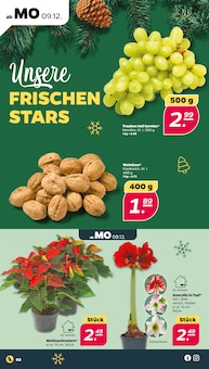 Walnüsse im Netto mit dem Scottie Prospekt "Günstig. Besser. Für Dich." mit 37 Seiten (Dresden)