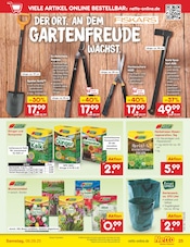 Blumenzwiebeln im Netto Marken-Discount Prospekt in Tübingen Aktueller Netto Marken-Discount Prospekt mit Blumenzwiebeln, "Aktuelle Angebote", Seite 35