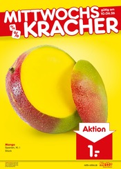 Mango im Netto Marken-Discount Prospekt in Freiberg Aktueller Netto Marken-Discount Prospekt mit Mango, "Aktuelle Angebote", Seite 13