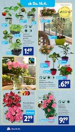 Aktueller ALDI SÜD Prospekt mit Paprika, "Gutes für Alle.", Seite 20