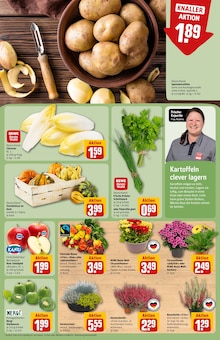 Äpfel im aktuellen REWE Prospekt (Heidelberg) Äpfel im REWE Prospekt "Dein Markt" mit 34 Seiten (Heidelberg)
