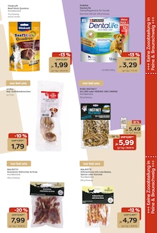 Ente im Garten-Center Nordharz GmbH & Co. KG Prospekt "Wo Farben wachsen und Freude blüht!" mit 16 Seiten (Hildesheim)