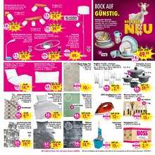 Kissen im SB Möbel Boss Prospekt "BOCK AUF NEU - BOCK AUF GÜNSTIG!" mit 12 Seiten (Mainz)
