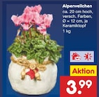 Aktuelles Alpenveilchen Angebot bei Netto Marken-Discount in Krefeld ab 3,99 €