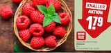 Himbeeren von REWE Beste Wahl im aktuellen REWE Prospekt für 1,79 €